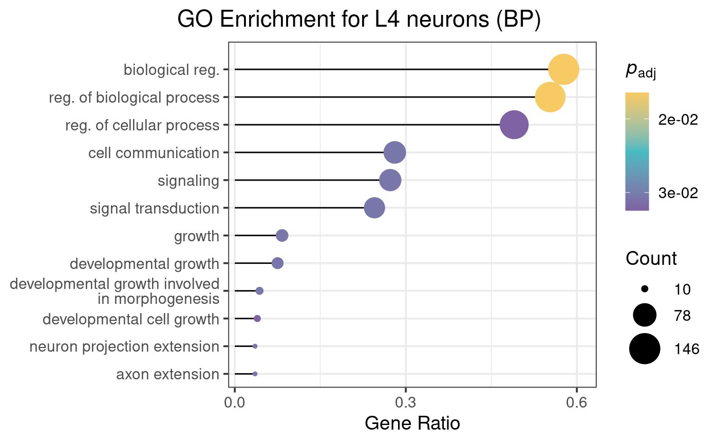 Enriched GO terms for genes associated with differential Bsh binding in L4 neuron.  Dataset from chromosome 2L only.