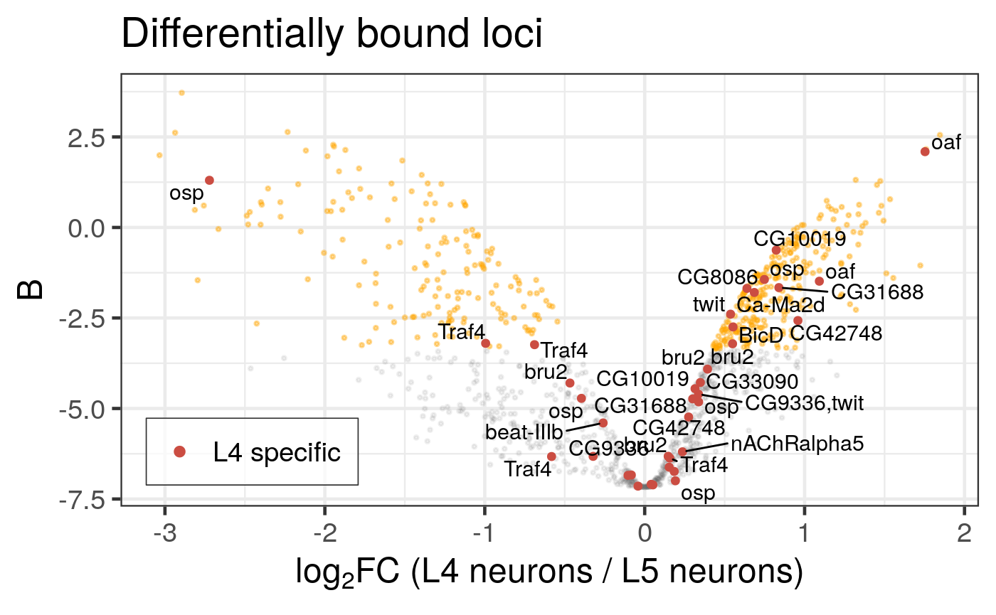 Differential binding of Bsh in L4 and L5 neuronal subtypes.  Genes that are specifically expressed in L4 neurons are highlighted.  (Dataset from chromosome 2L only).  Legend is now displayed on the LHS within the plot.
