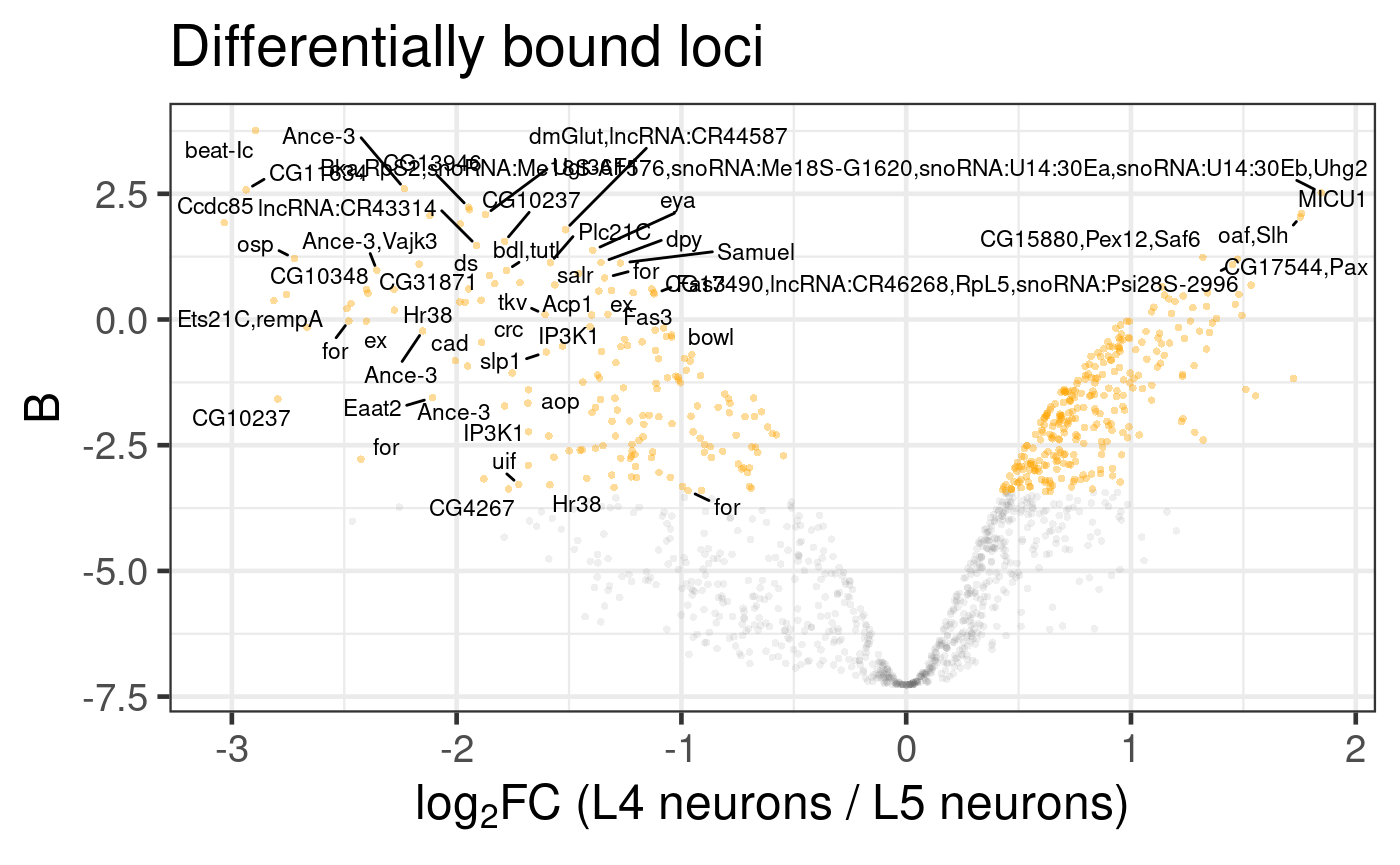 Differential binding of Bsh in L4 and L5 neuronal subtypes.  Genes associated with differentially bound peaks are displayed; the limitations of label overlaps means that only outliers are labelled.  (Dataset from chromosome 2L only)