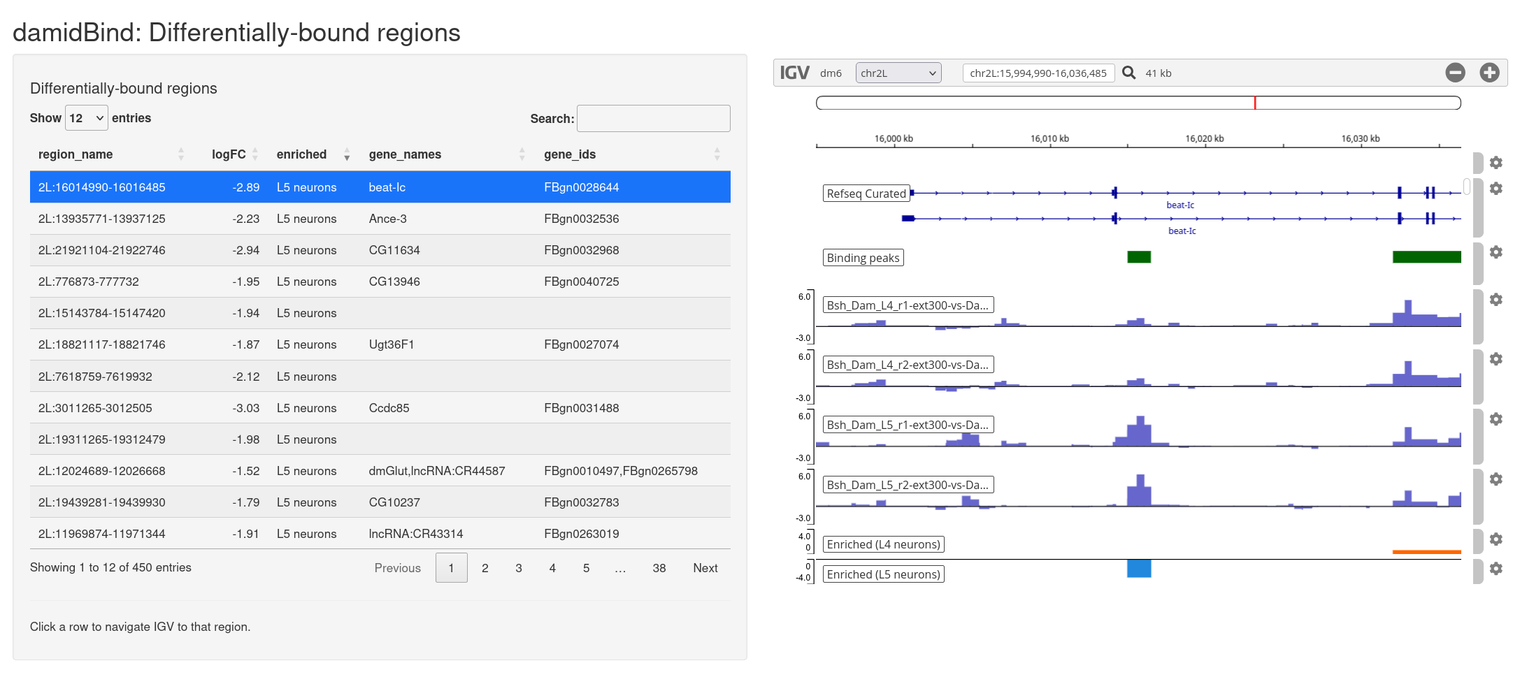 The interactive IGV browser window of damidBind