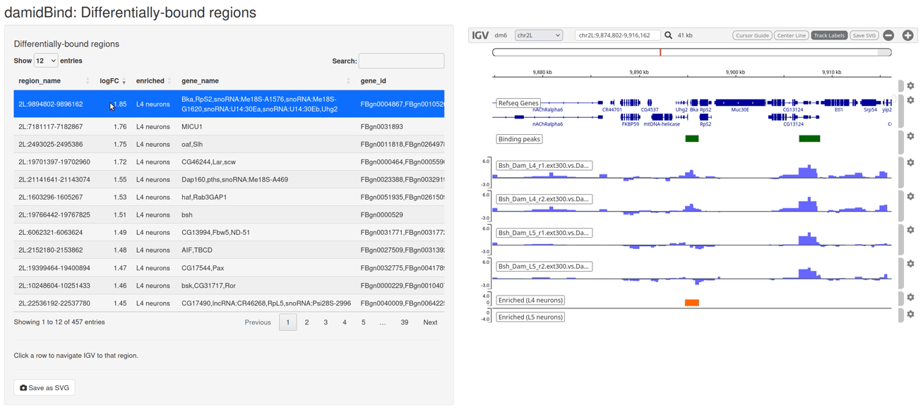 The interactive IGV browser window.  The interface allows for rapid exploration of differentially bound regions in their genomic context. The table of significant loci is interactive and controls the genome browser view.